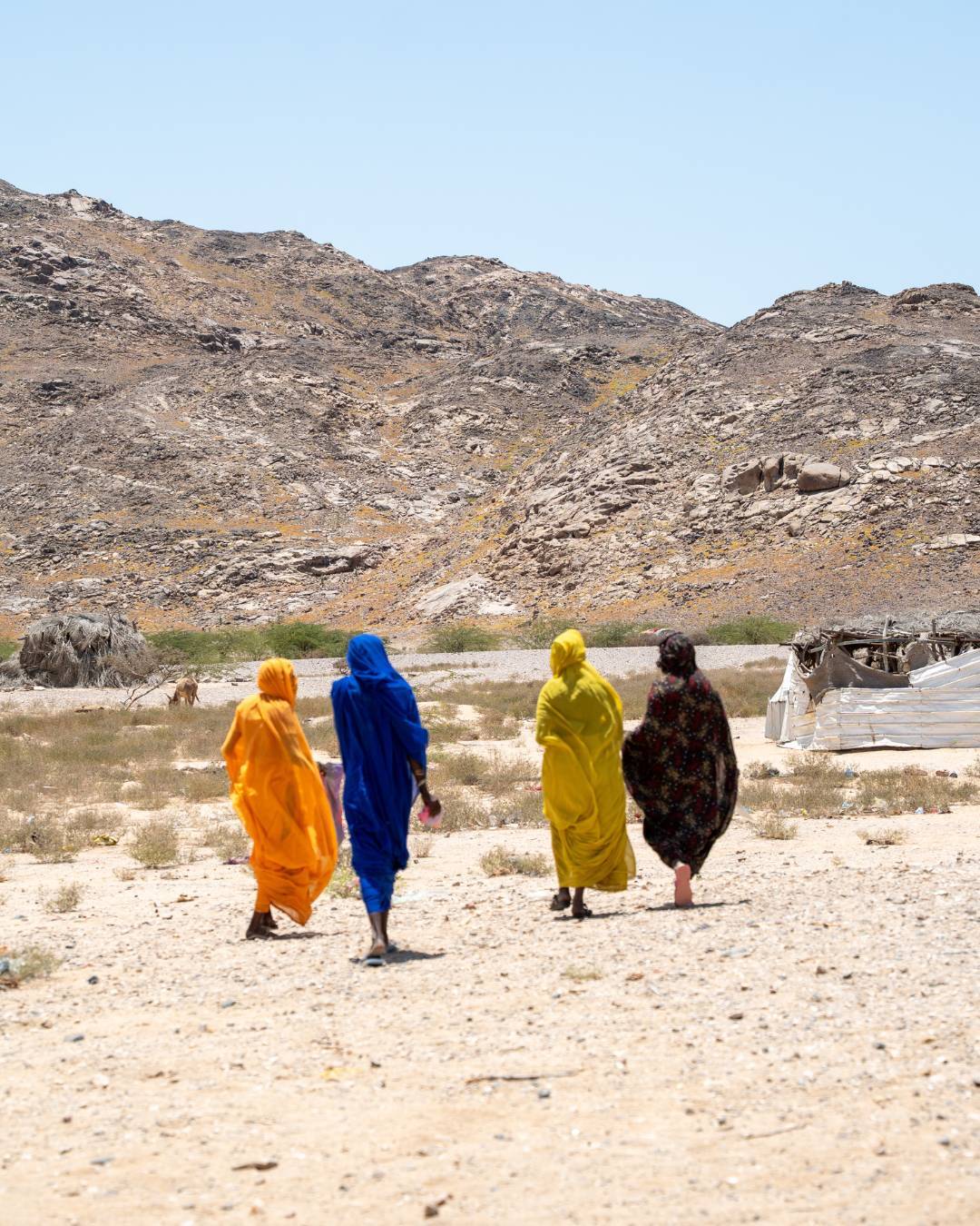 Community members in Piramit village, Tokar region of Red Sea state. UN Women Sudan's economic empowerment programme, supported by SIDA, gave the women of Piramit 600 goats in a livelihoods programme. The goats have multiplied and the milk they produce has improved the health and nutrition of families in the village. (Photo: UN Women/Ekram Hamad Fadlalla)